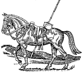 Cavalry horse 
