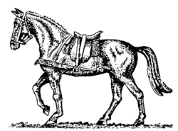 Single Draught Horse - Postillion type