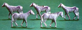 Pack of five horses 