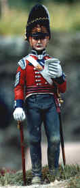 Sergeant Major Fusiliers 