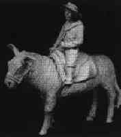 Edwardian girl riding a donkey