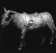 Riderless donkey