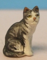 Omen - Cat, sitting upright