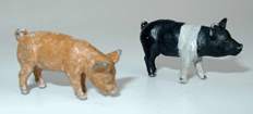 DUNCAN MODELS Pigs x 6