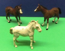 3 Foals