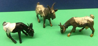 3 Goats (Black)
