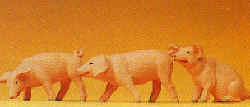 1:25 Farm animal - 3 Piglets