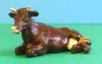 Laying down cow - Devon Red