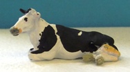 Laying down cow - Fresian