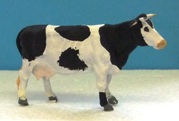 Standing cow - Fresian.