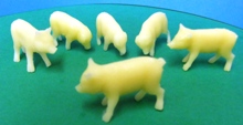 Pigs x 6: 3 grazing / 3 standing 