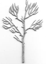 Tree frame 70mm tall (sapling)