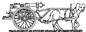 Belgian Dog-cart with 2 dogs & maxim gun